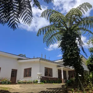  Guest house Acme Divine View